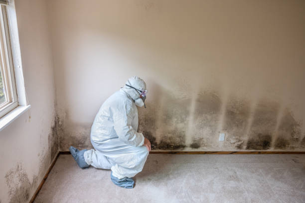 Best Residential Mold Inspection & Testing  in Ridgewood, NJ